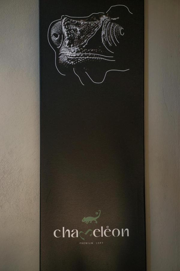 Chameleon Premium Loft Apartment Nafplio Bagian luar foto